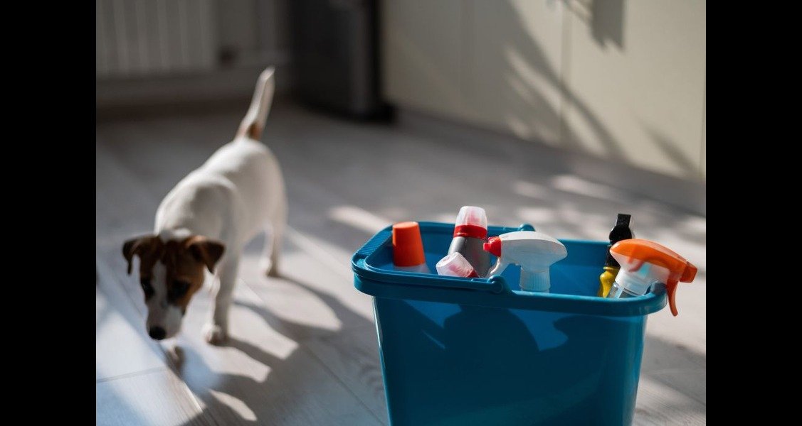 A dog is standing beside a blue container of cleaning supplies