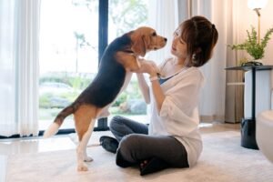 A female dog owner is holding a new puppy