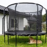 A golden retriever is lying under a trampoline