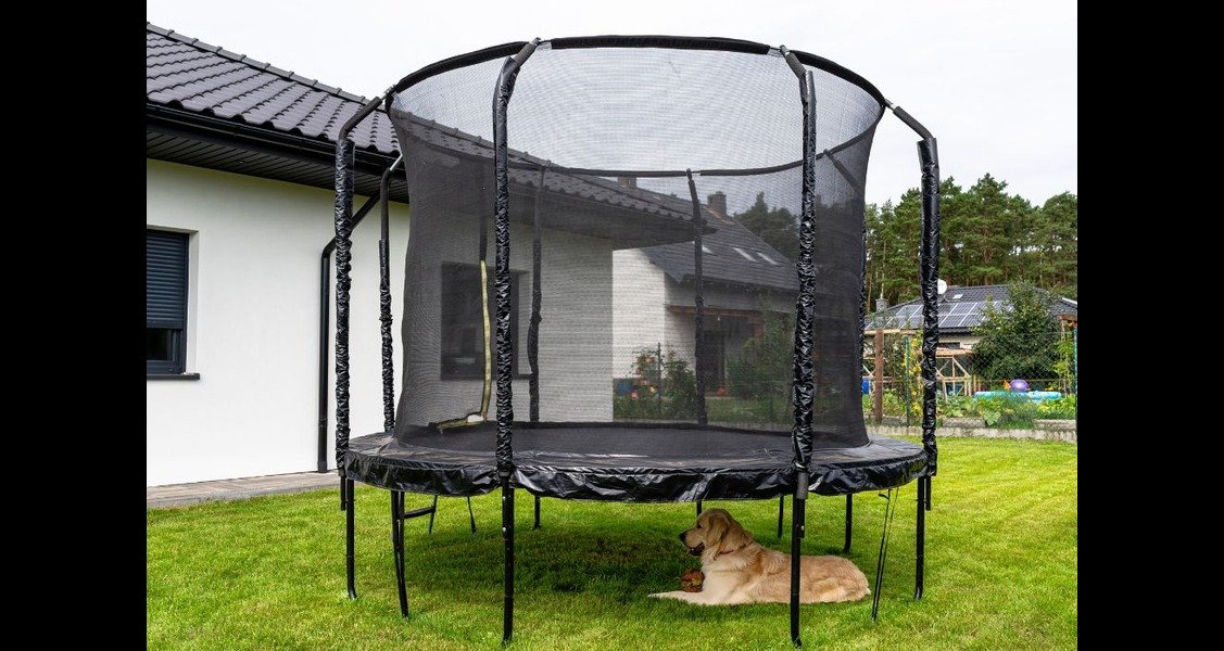 A golden retriever is lying under a trampoline