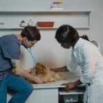 A woman and veterinarian are with a dog