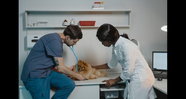 A woman and veterinarian are with a dog