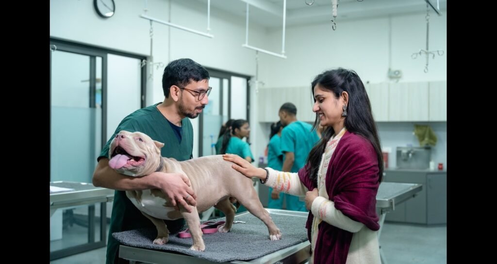 A veterinarian is holding a dog on an exam table with a woman