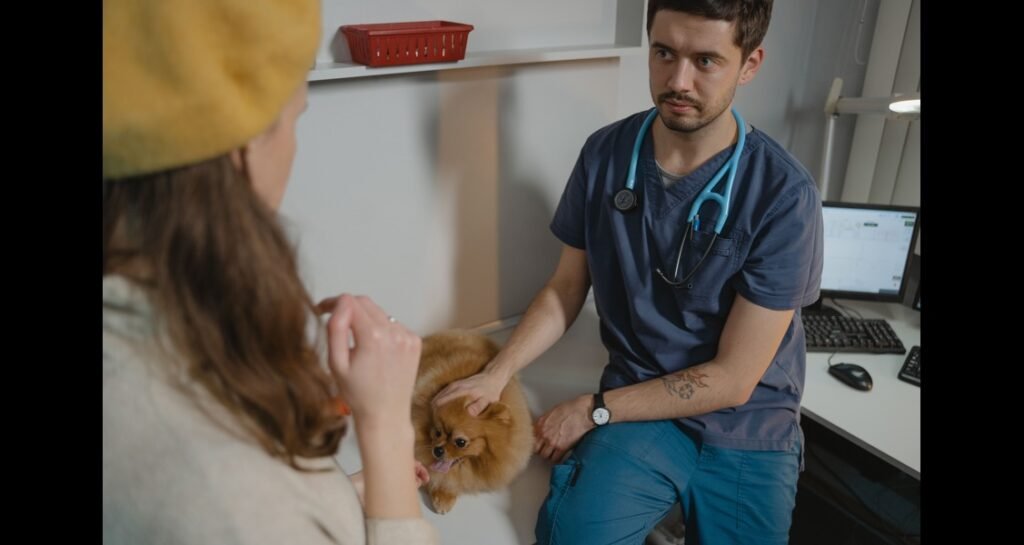 A veterinarian is with a dog and woman
