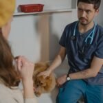 A veterinarian is with a dog and woman