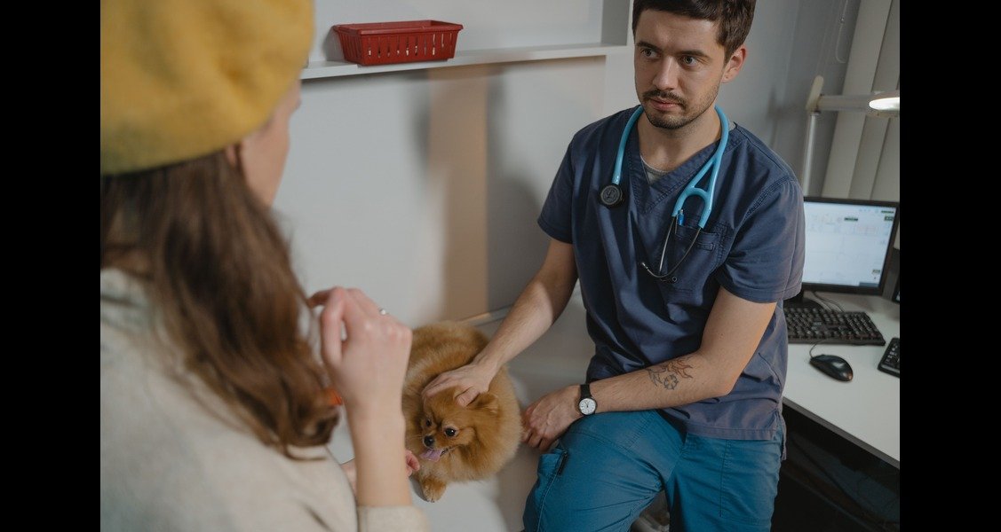 A veterinarian is with a dog and woman