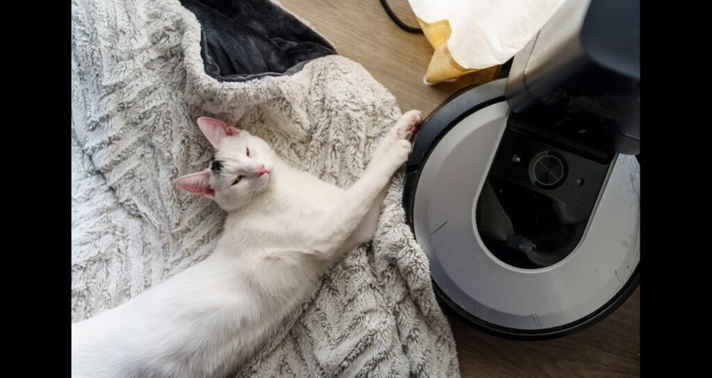 Cat lying bedside an automated vacuum cleaner