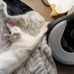 Cat lying bedside an automated vacuum cleaner
